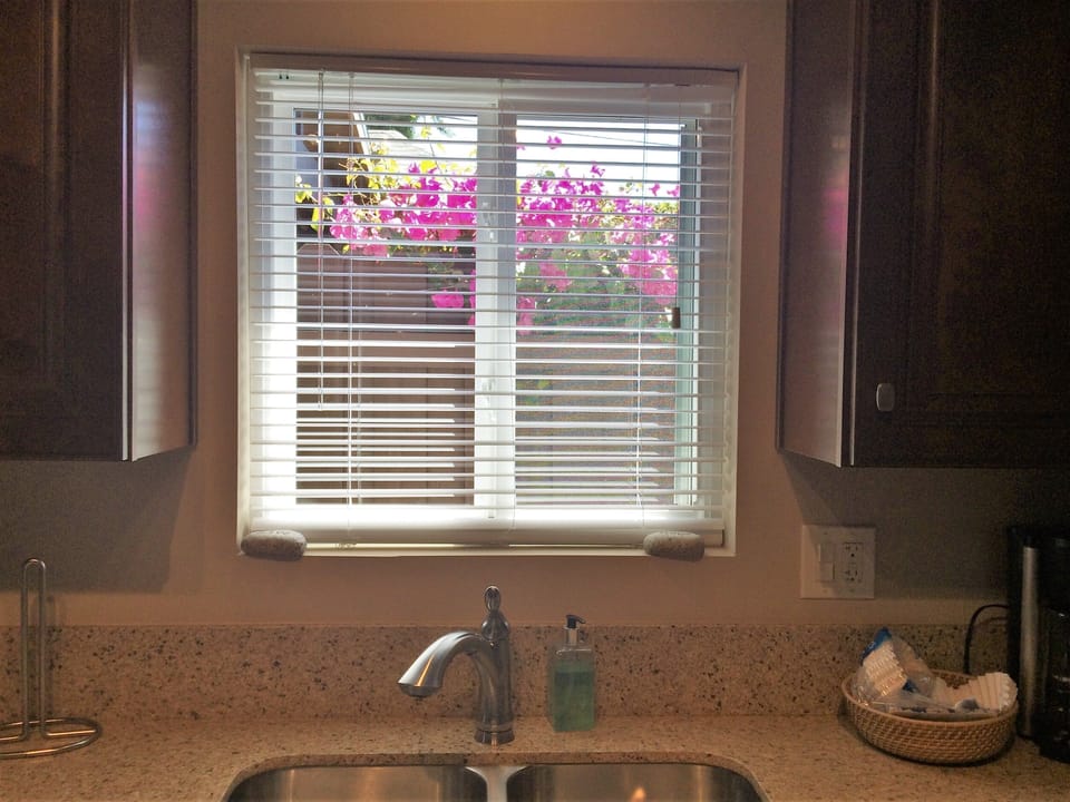 Bougainvillea right outside your kitchen window!