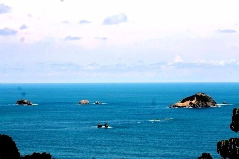 View (zoomed)