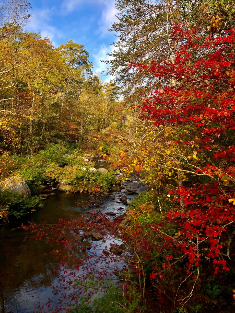 Fall 2020 Little River