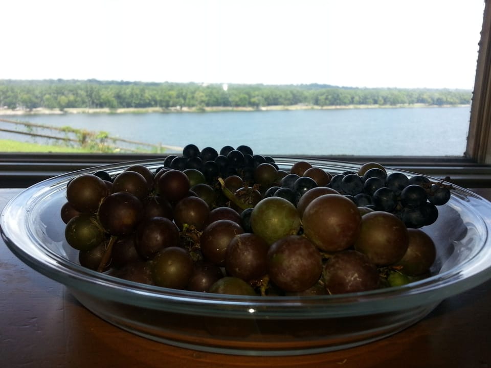A little fruit of the vine while enjoying the view.