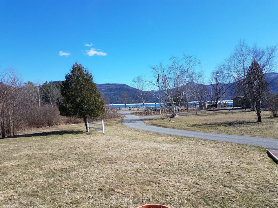 view from the back deck