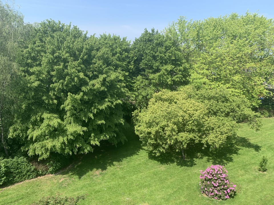 Gardenview