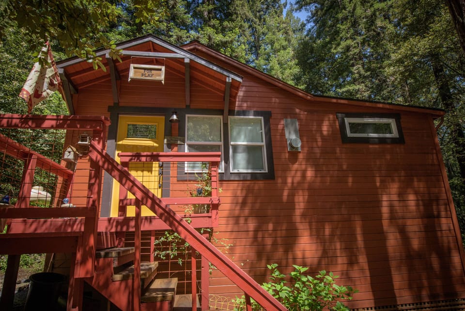A sunny spot in the forest.
