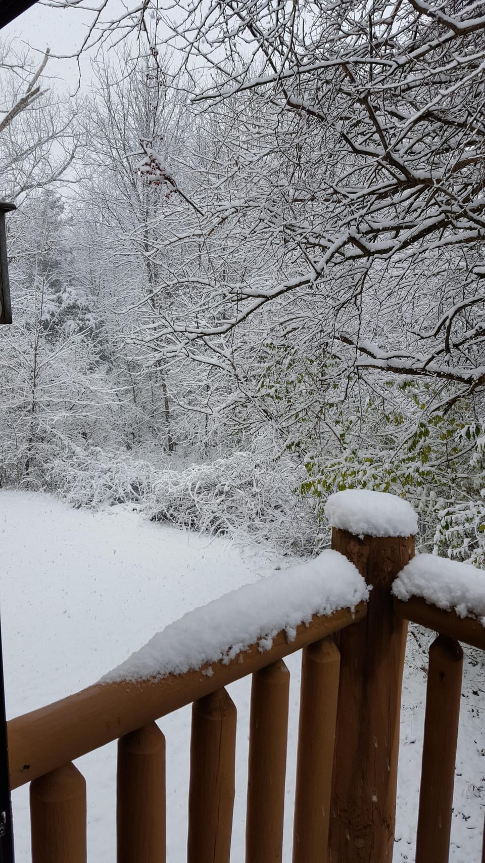 Back From Upstairs balcony