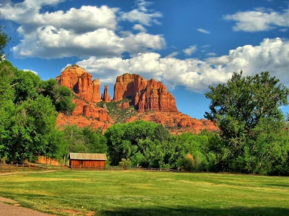 31dddcd1 2f20 4c5c 8159 31cad0df22a0