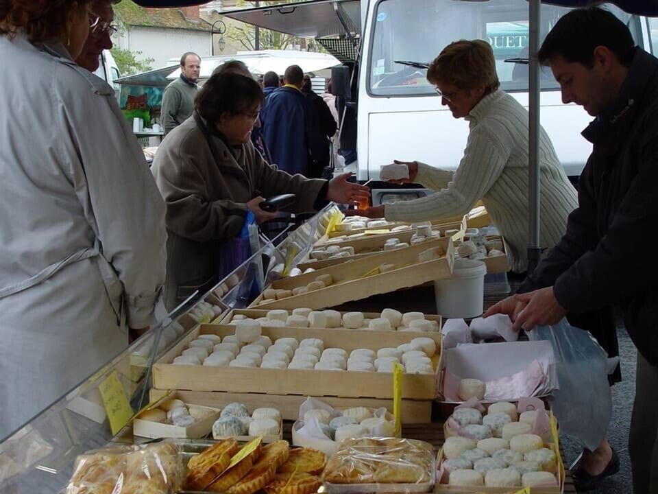 The cheese Crottin de Chavignol