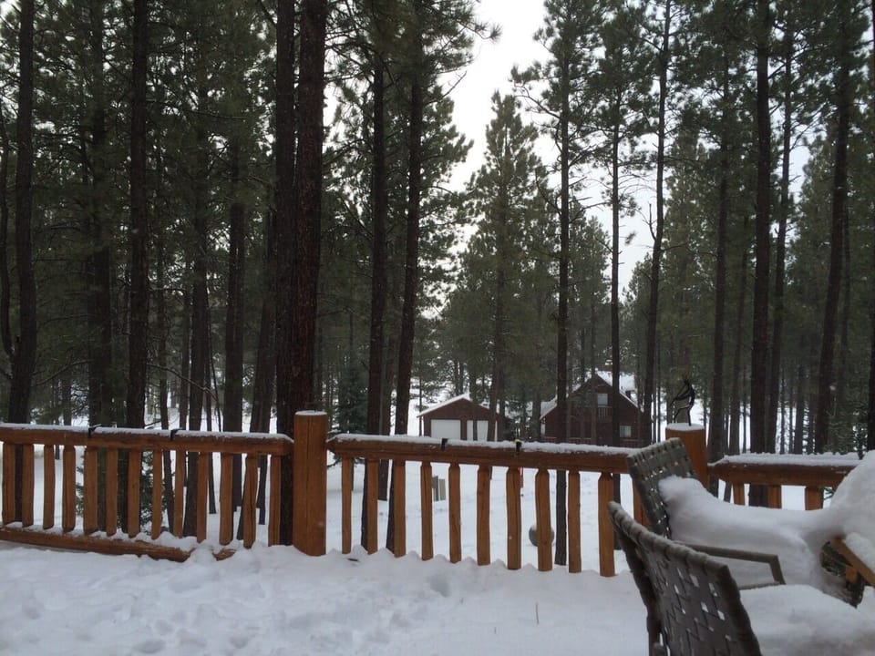 View from deck towards the street
