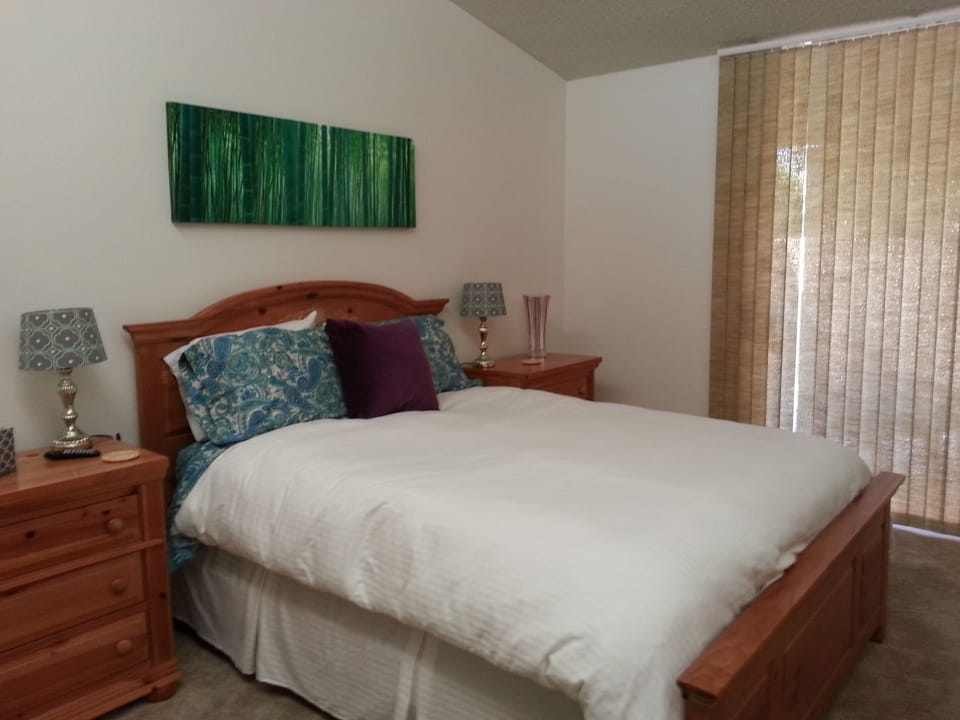 Second bedroom with queen bed
