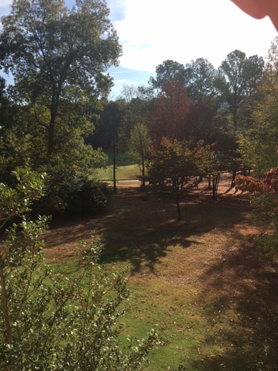 View from all patios to 10th hole of RTJ