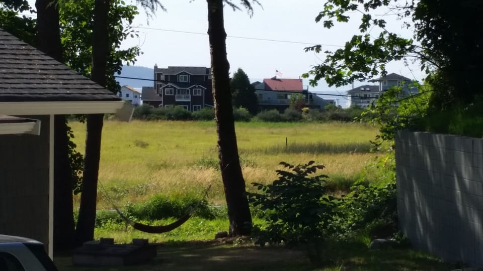 Peek-a-boo view of Useless Bay from the deck.