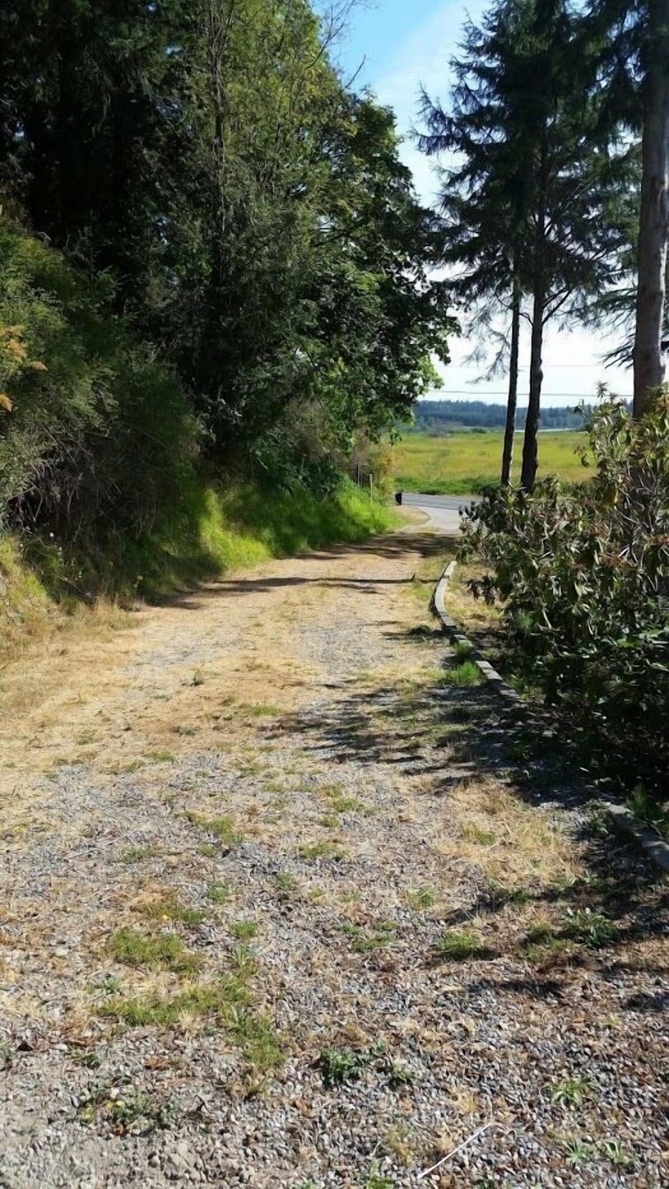 Private driveway to the Guesthouse.