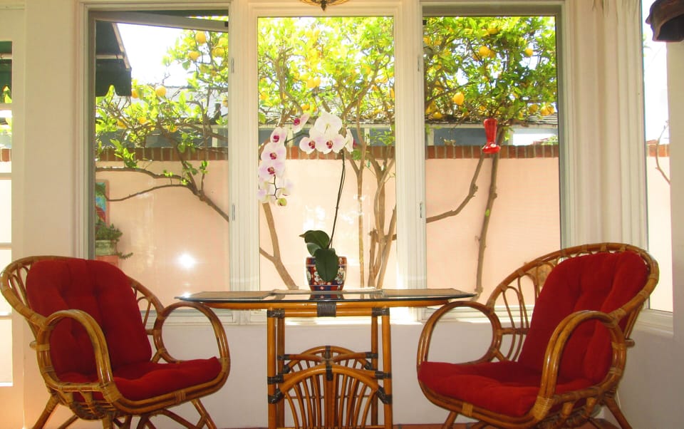 Sunroom Seating area with lemon tree behind