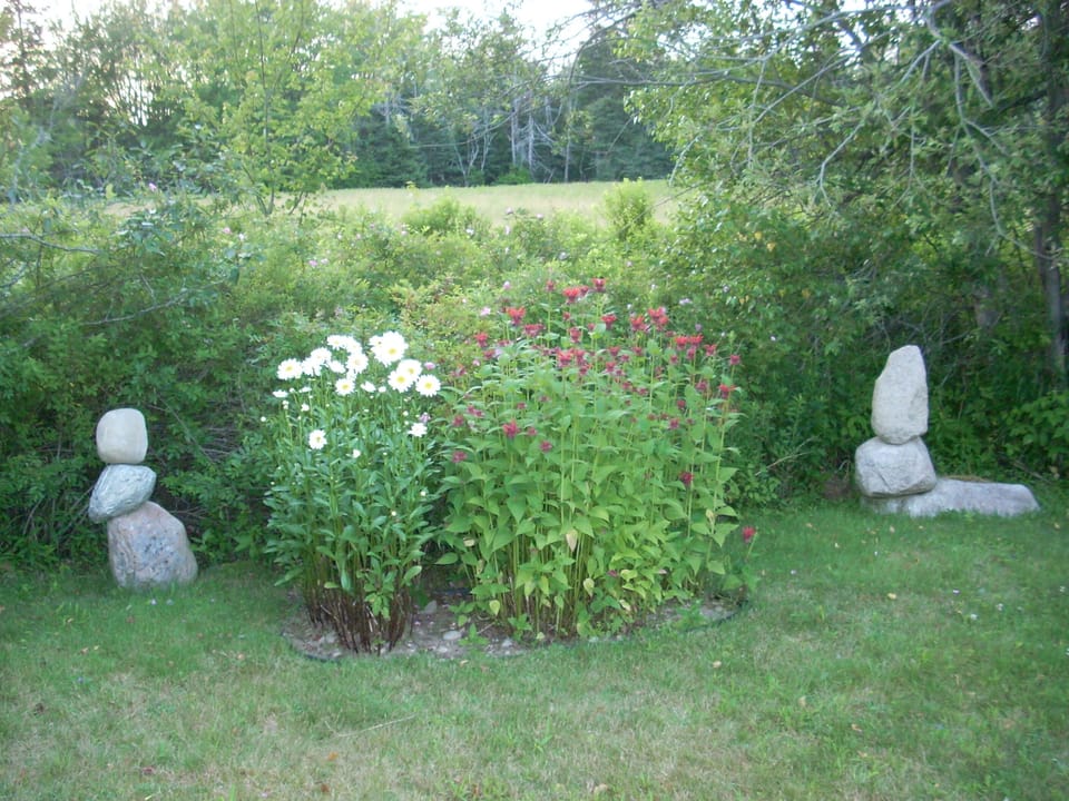 view to meadow