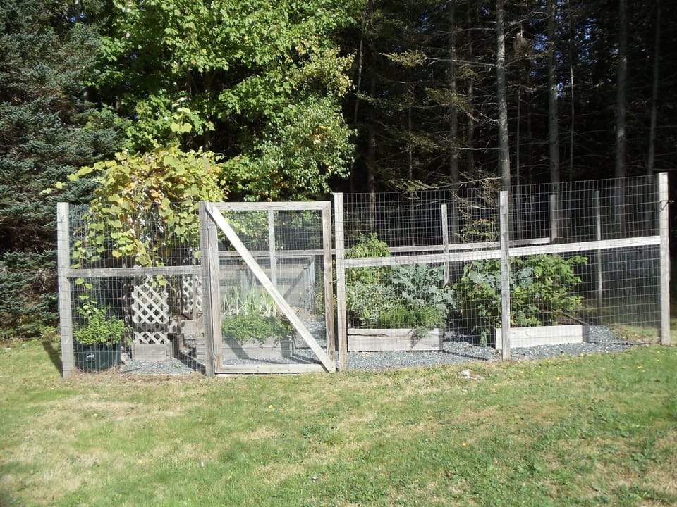 vegetable garden