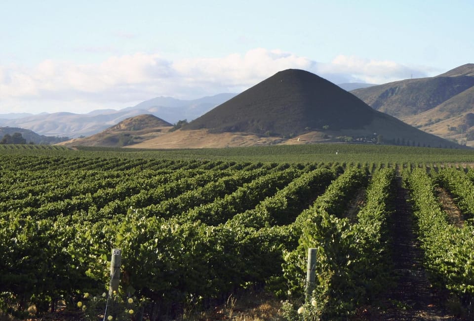 There is plenty of wine tasting in downtown Avila and the surrounding area 