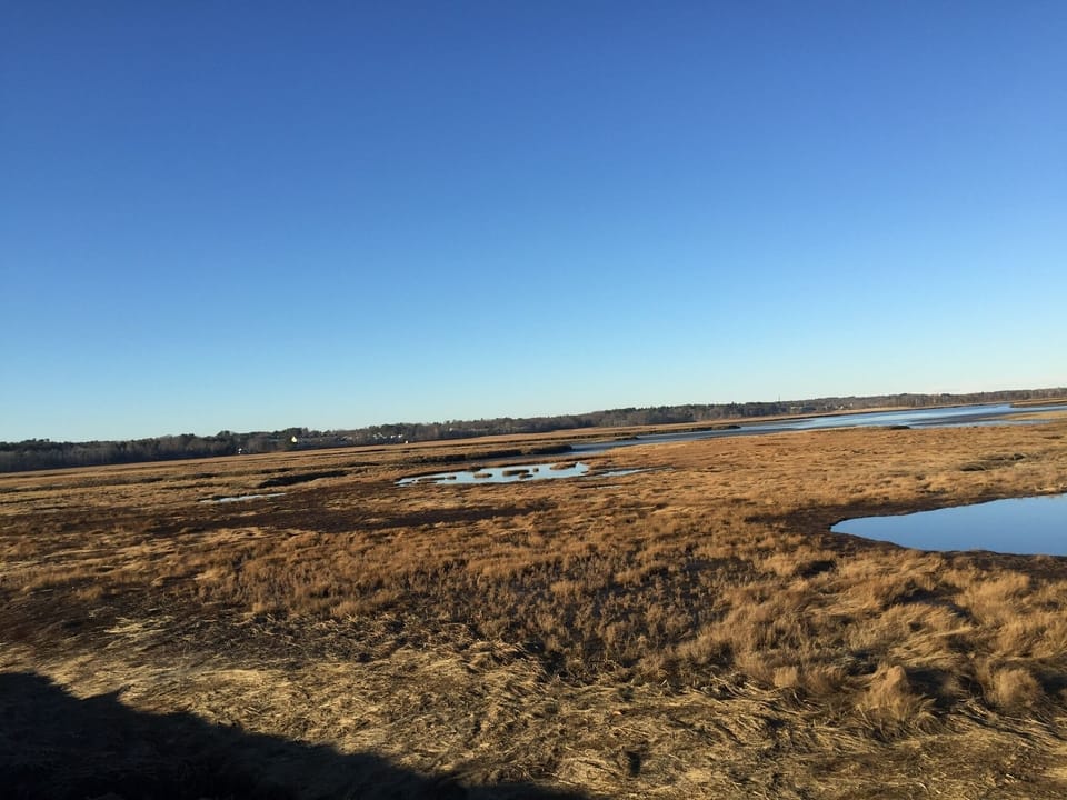 Rachel Carson Reserve marsh along Mile Road towards the beach