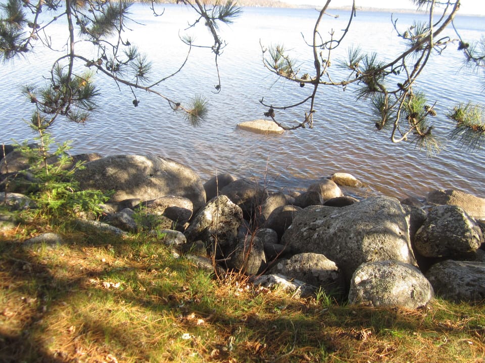 Shoreline Off Point
