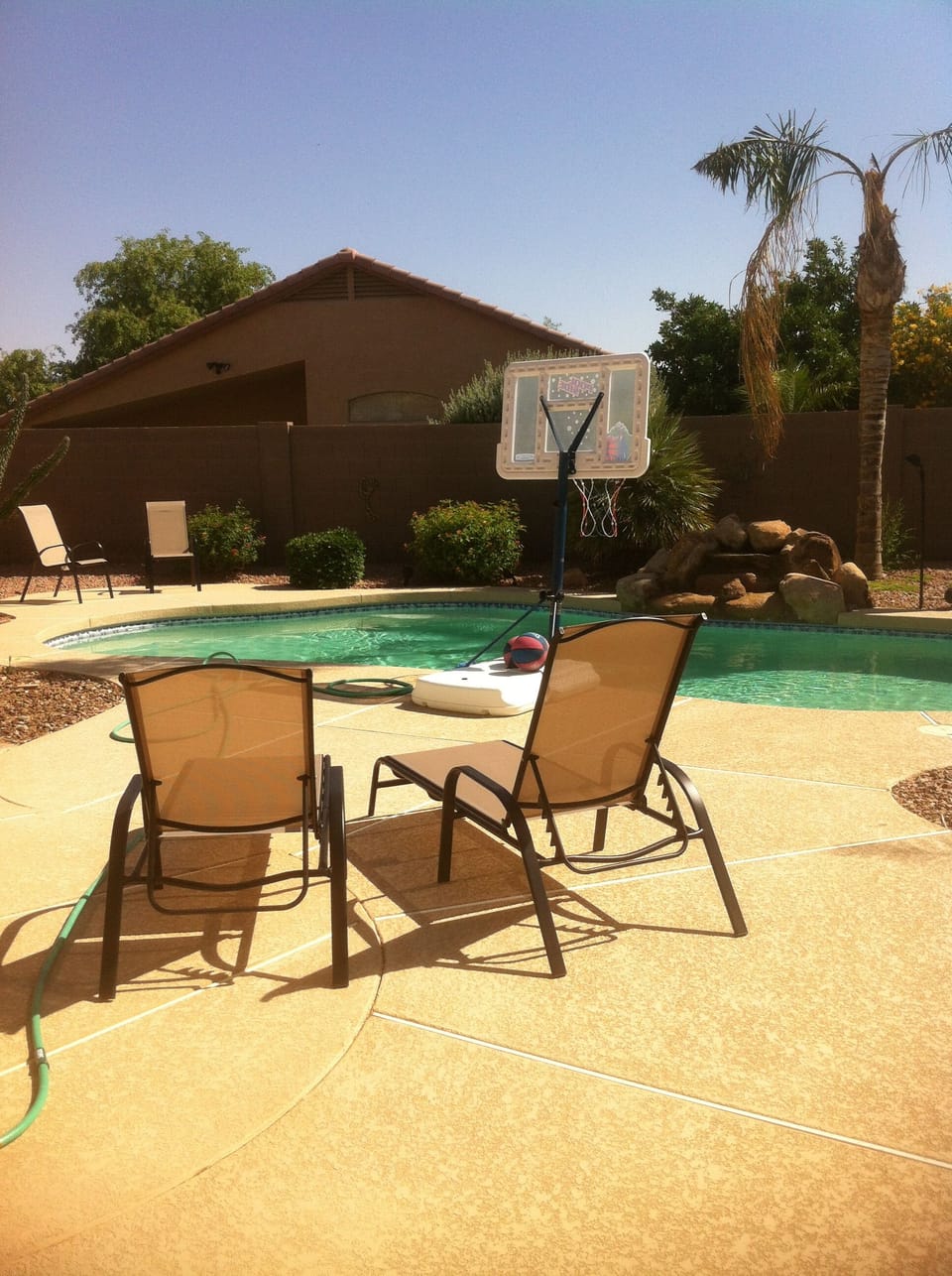 Some of the loungers by the pool