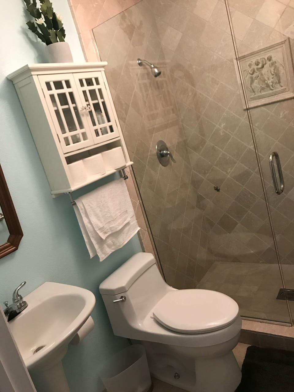 Guest bath shower only