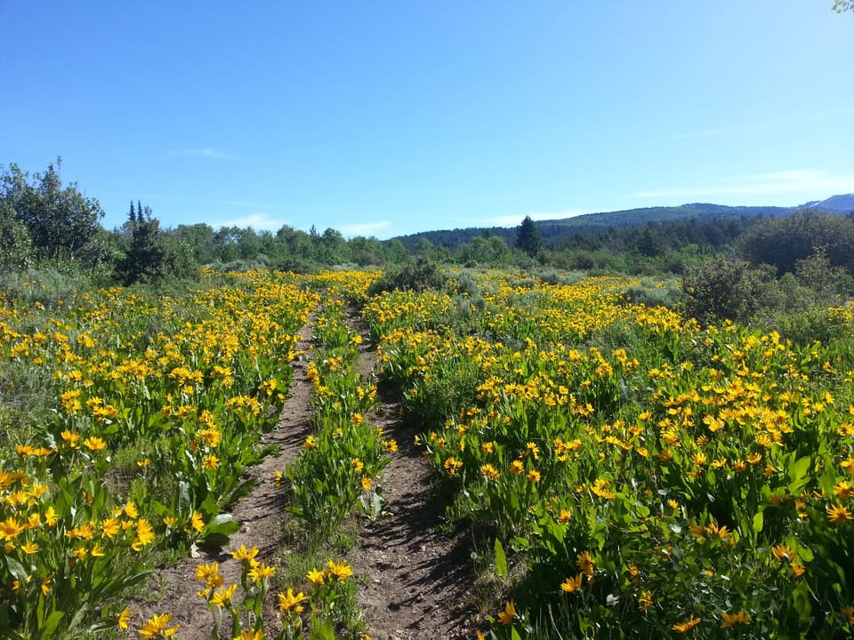 a short hike from back of house