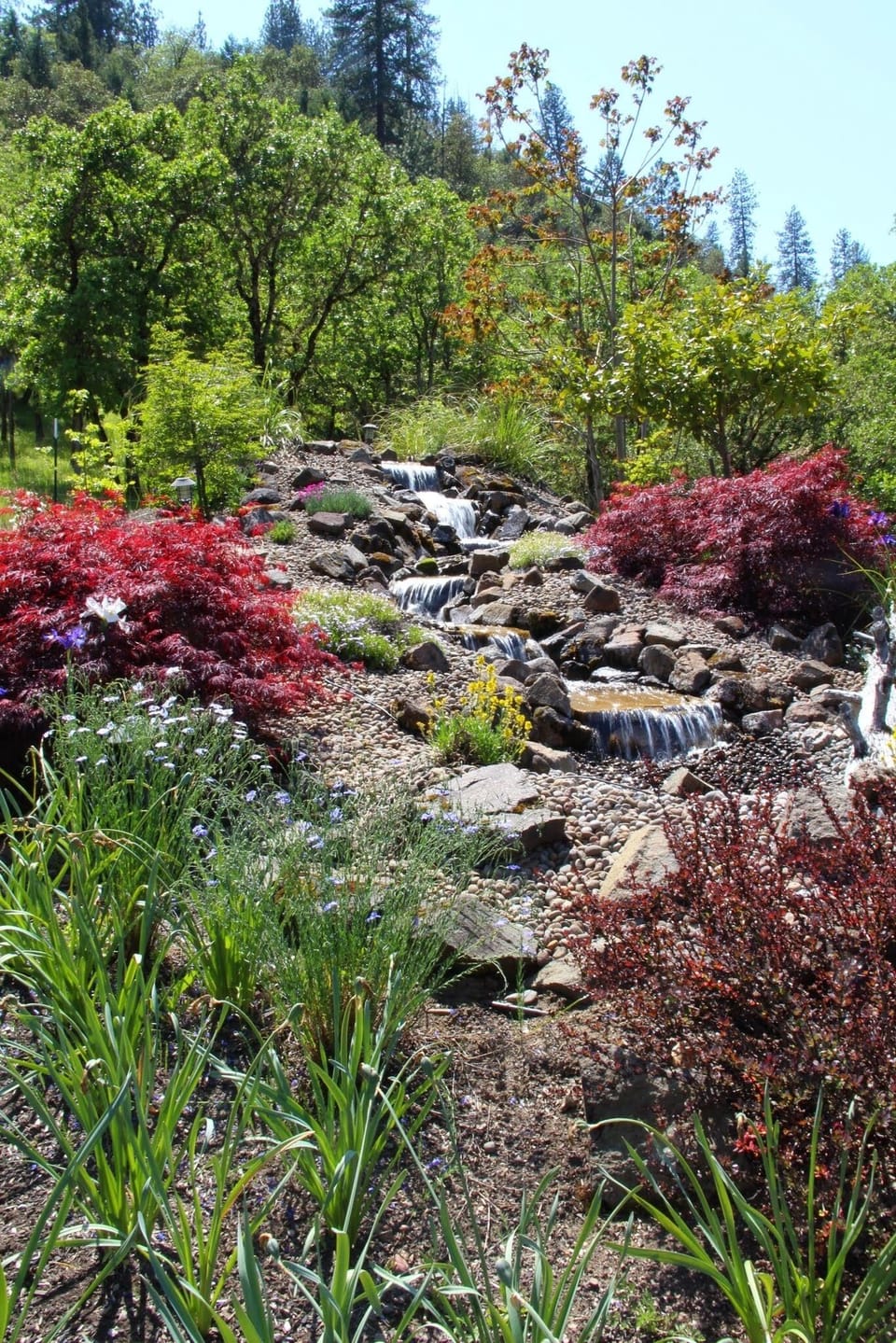 waterfall in the summer