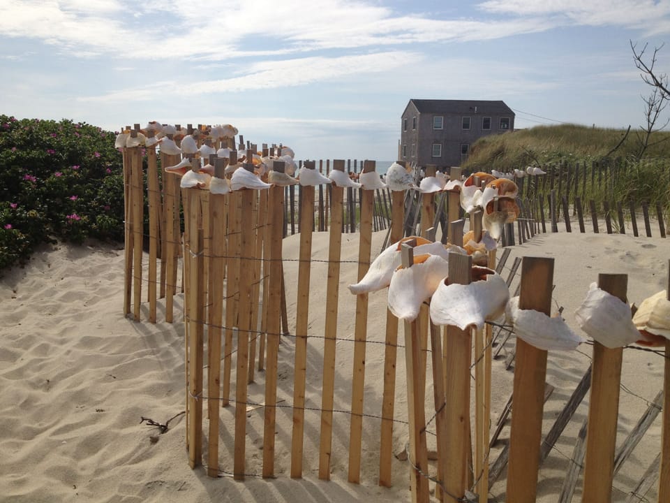 View of house from RI Ave