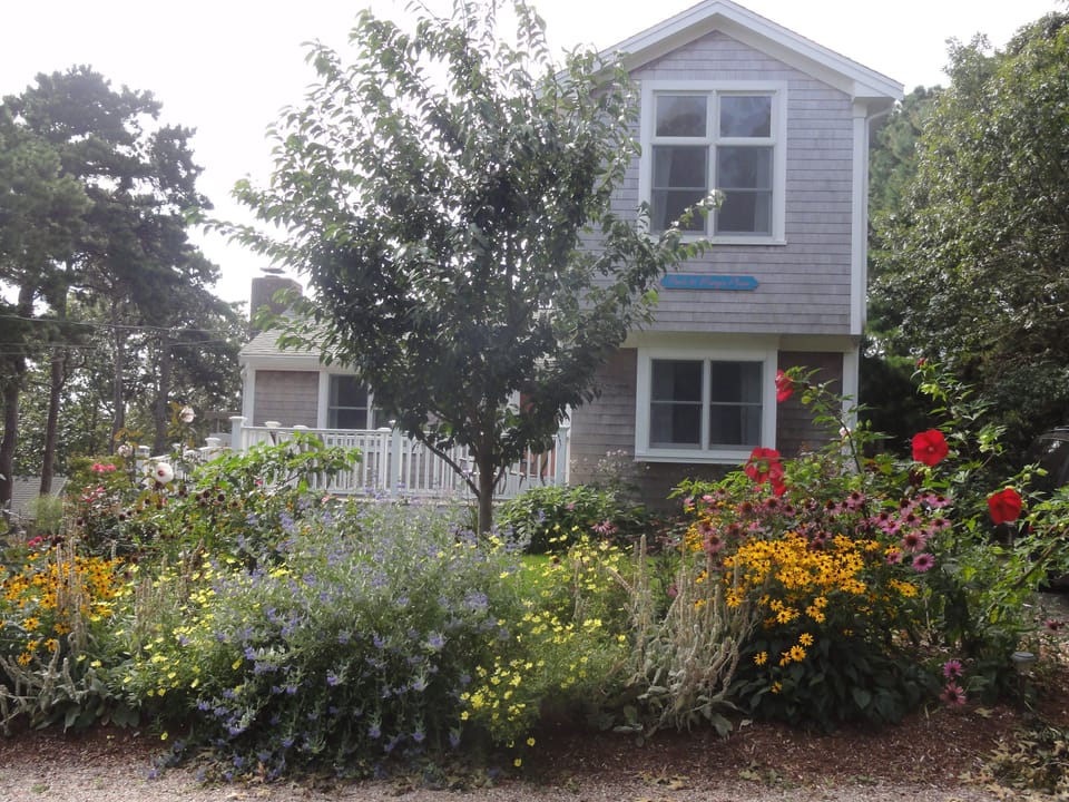 Paul & Mary's Place in August