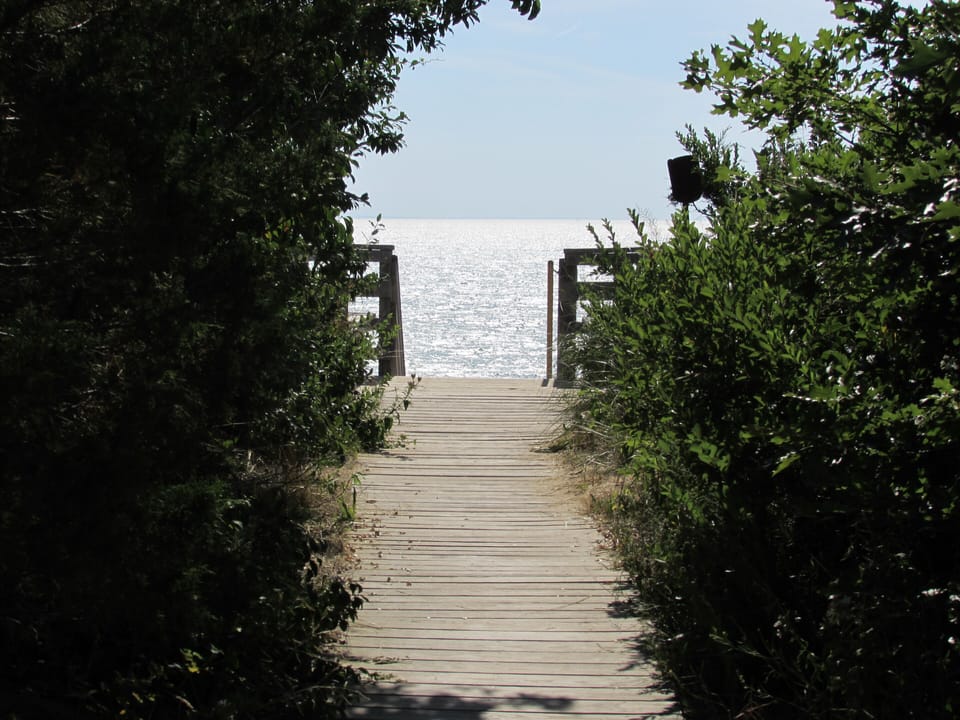 Boardwalk to the top of the stairs at our beach.