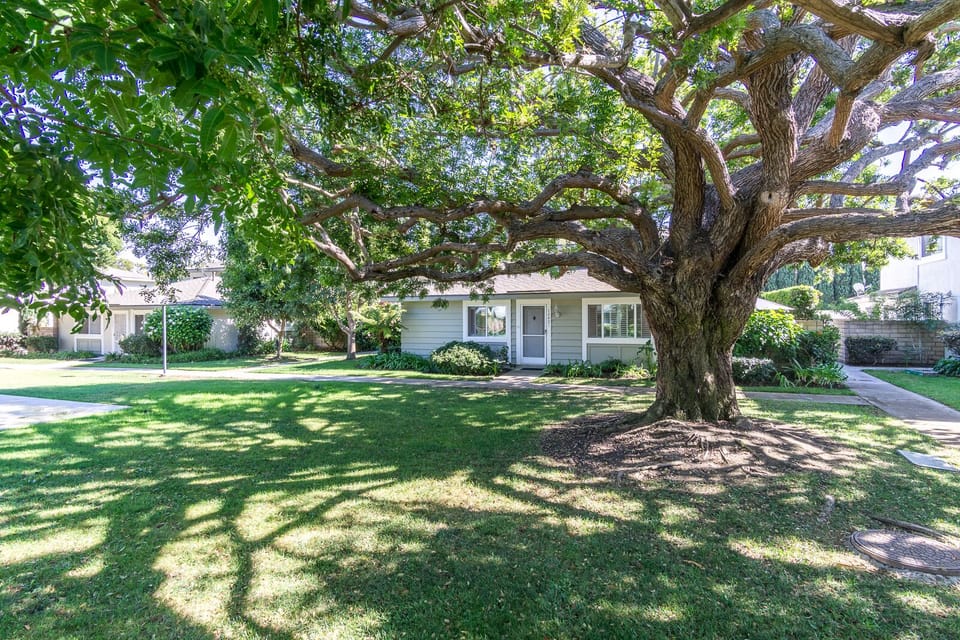 Clean and Quiet Single Level Beach Cottage