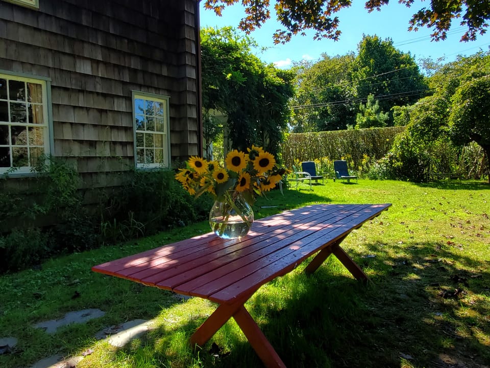 Outdoor picnic table (seats 12)