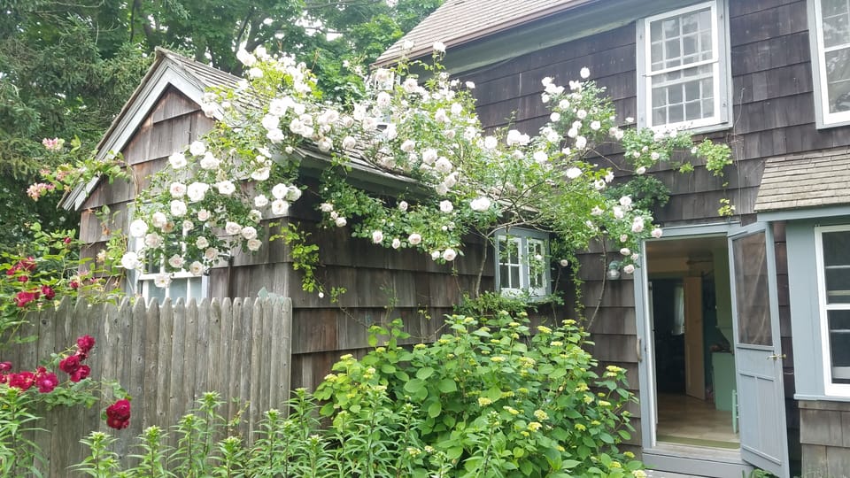 Rose-covered outdoor shower