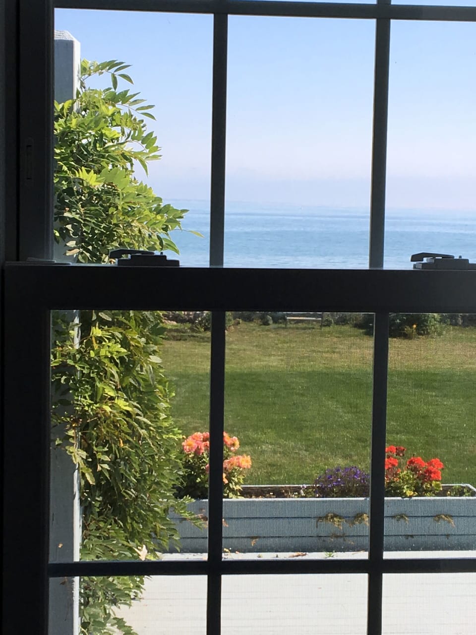View from downstairs bedroom.