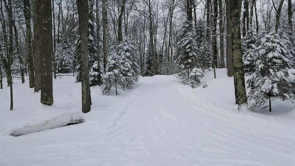 An easy spot for kids to sled in the winter in our driveway!