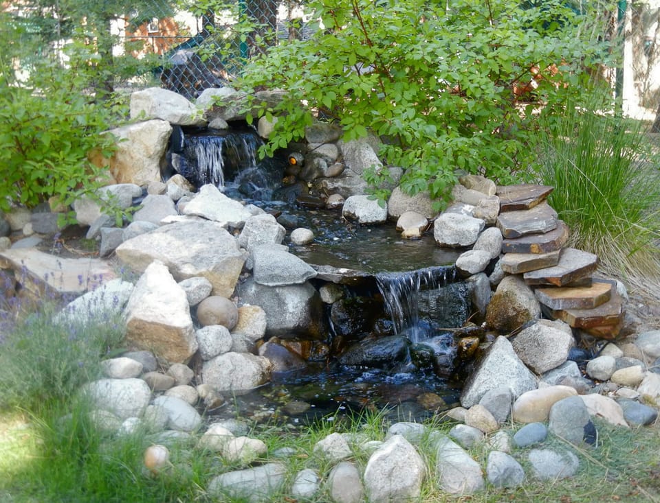 Tranquil water feature