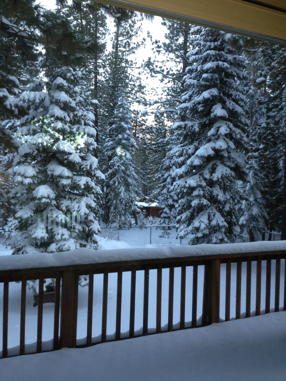 Master suite patio deck with forest view