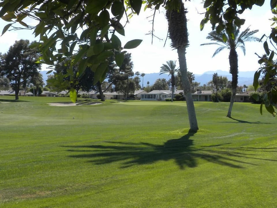 6TH green seen from back yard.