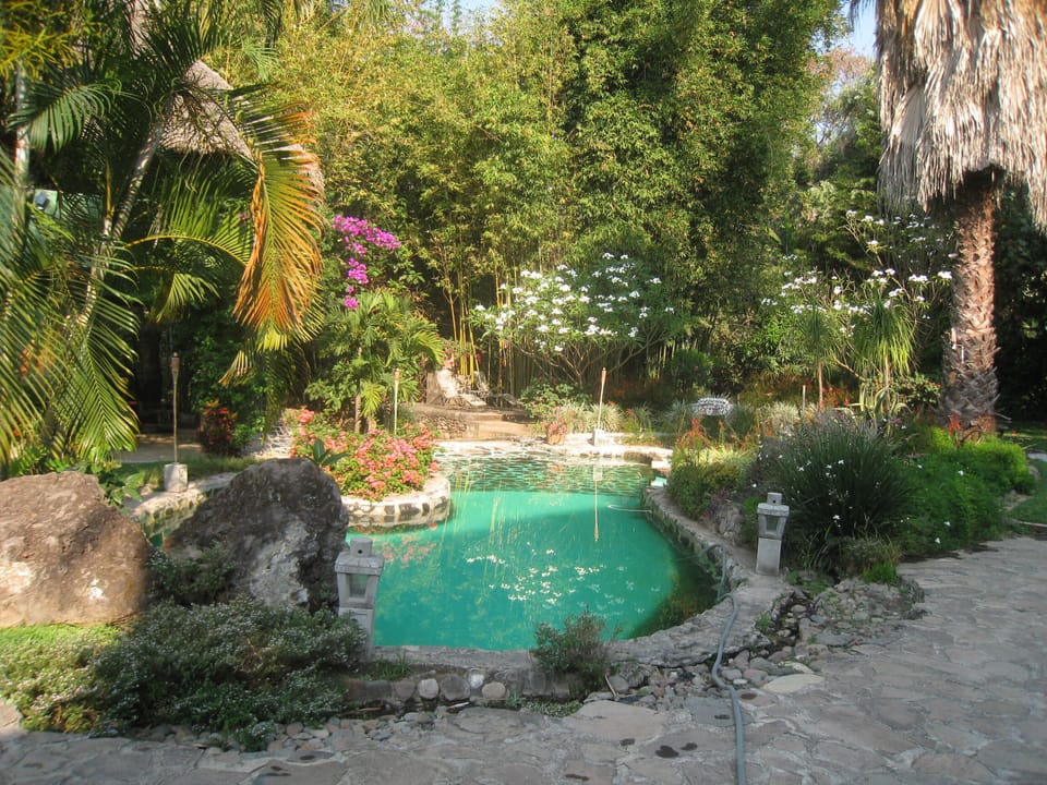 La alberca .  The pool
