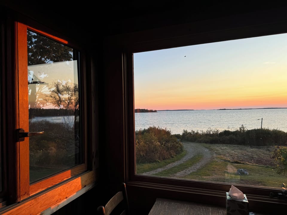 View out kitchen window from kitchen table