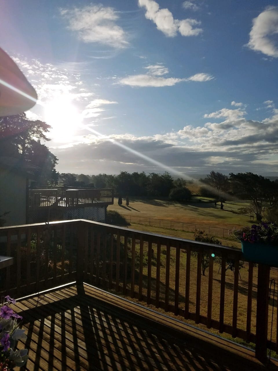 Sunrise
