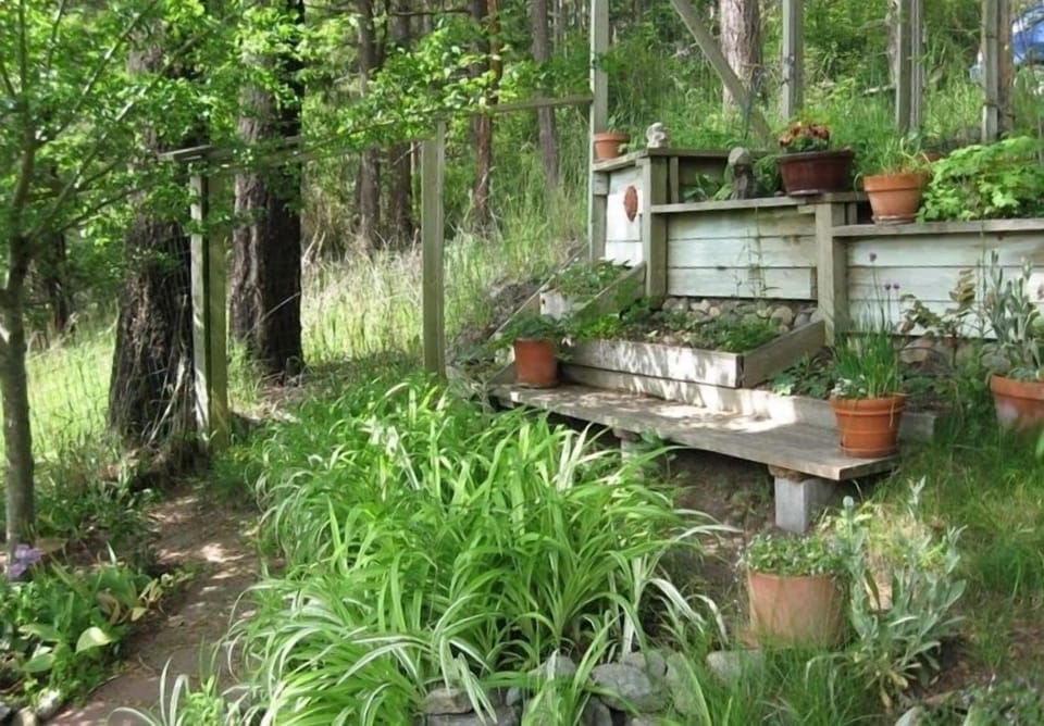 View of the garden from the deck
