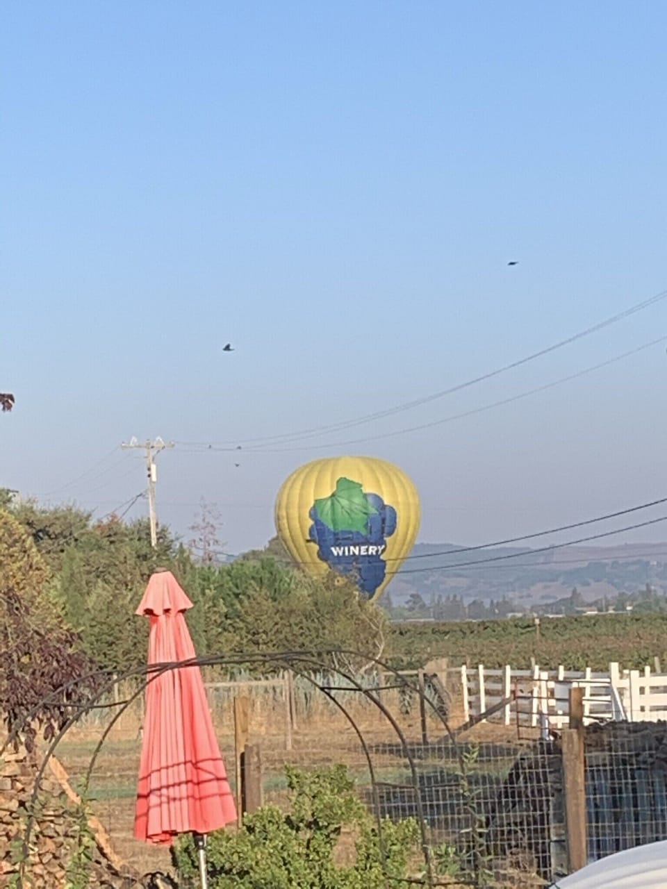 Early mornings you might see air balloons passing by