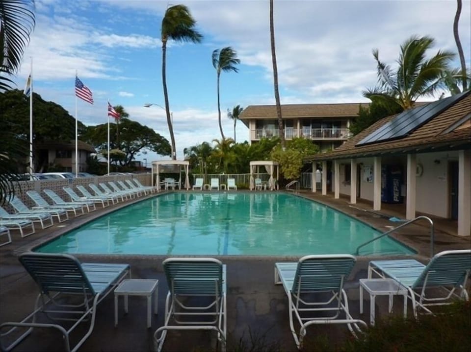 Large 60' x 30' pool