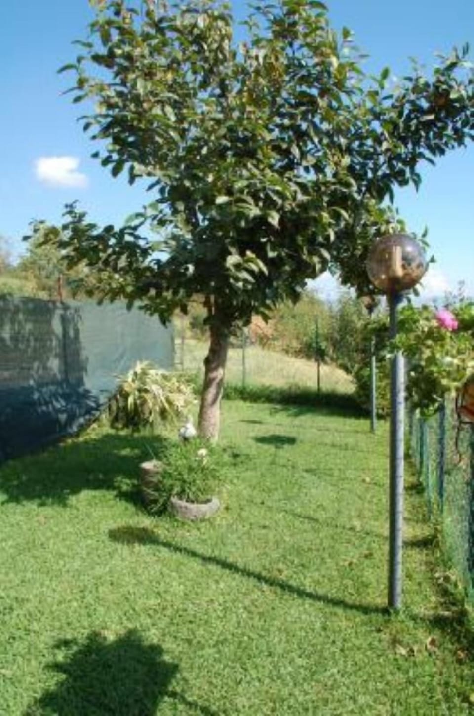 Garden, Park