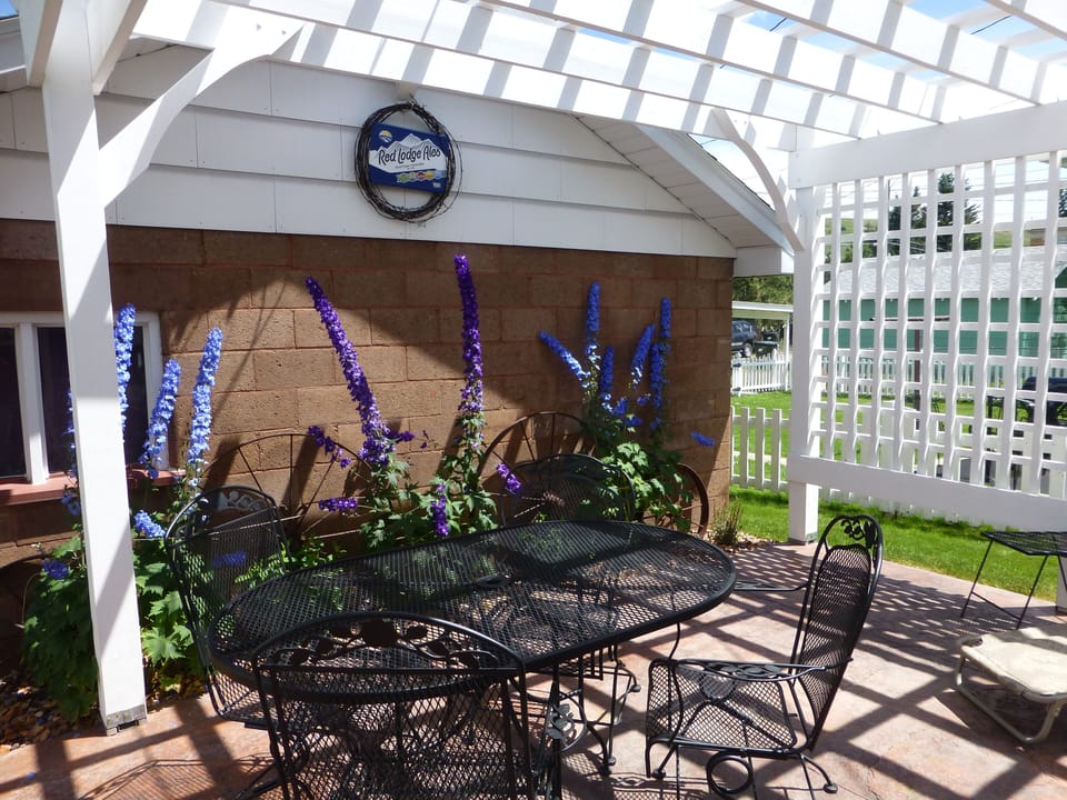 Lush backyard with games in garage for your enjoyment !