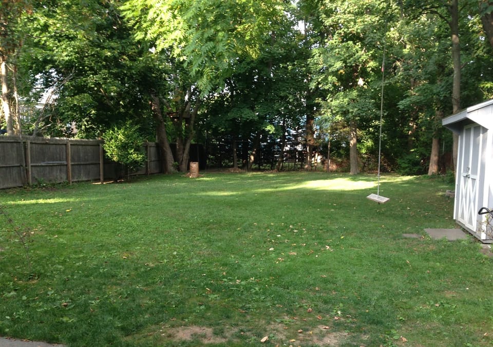 Backyard with swing
