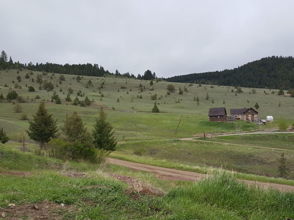 views out front door to east