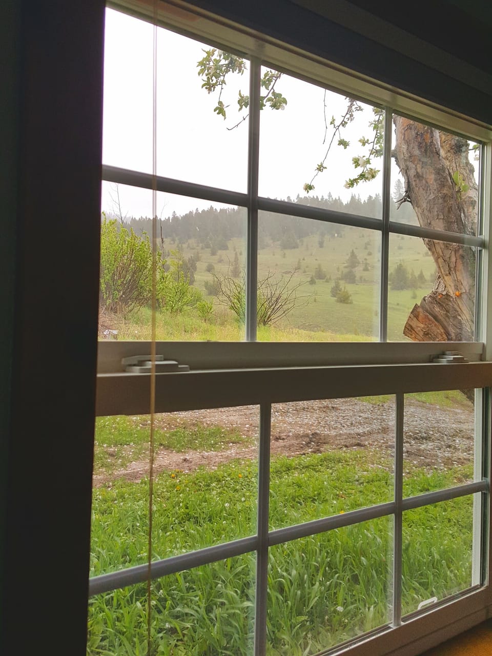 view nort...on a rainy day