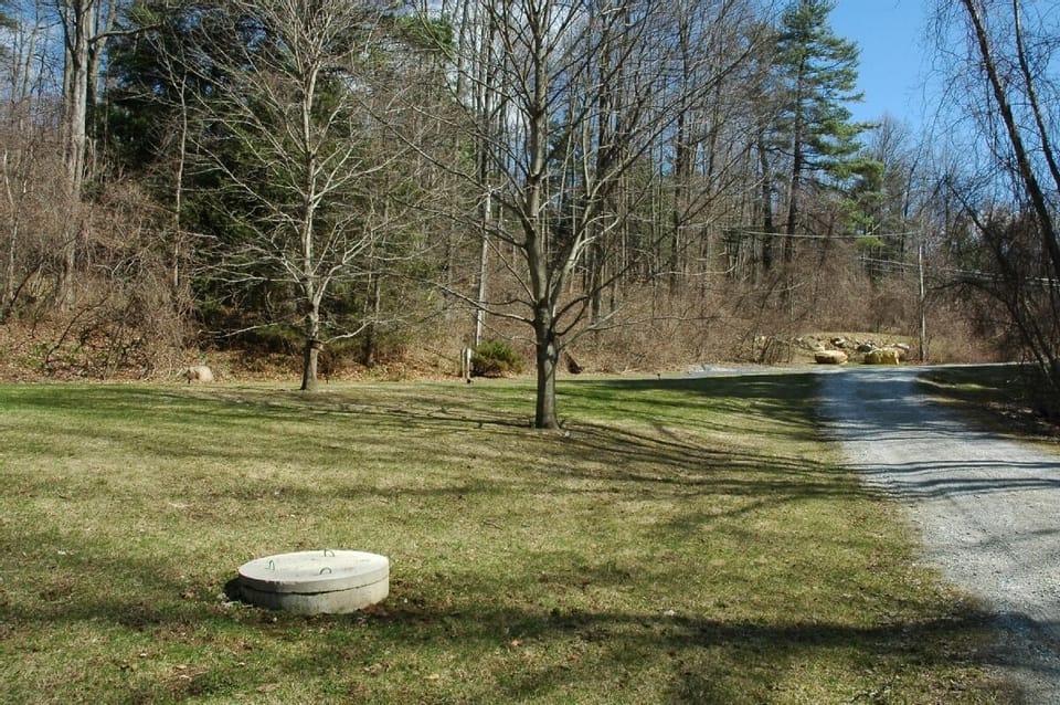 Front yard and driveway