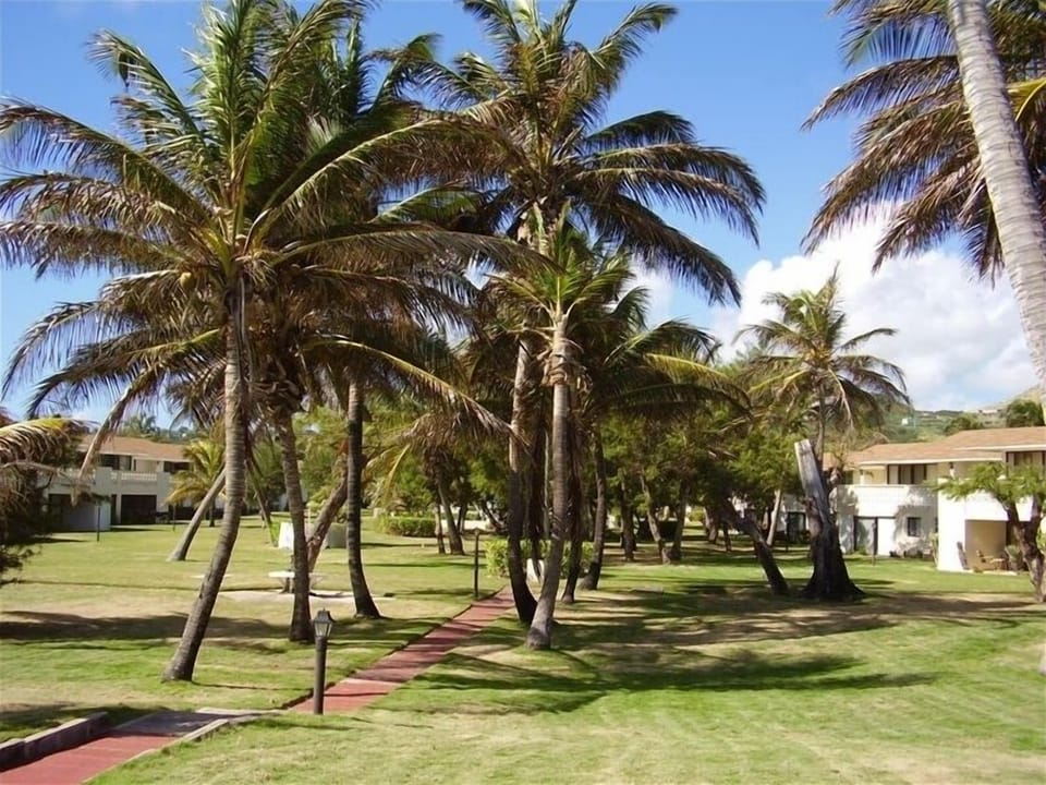 Spacious garden setting of Island Paradise
