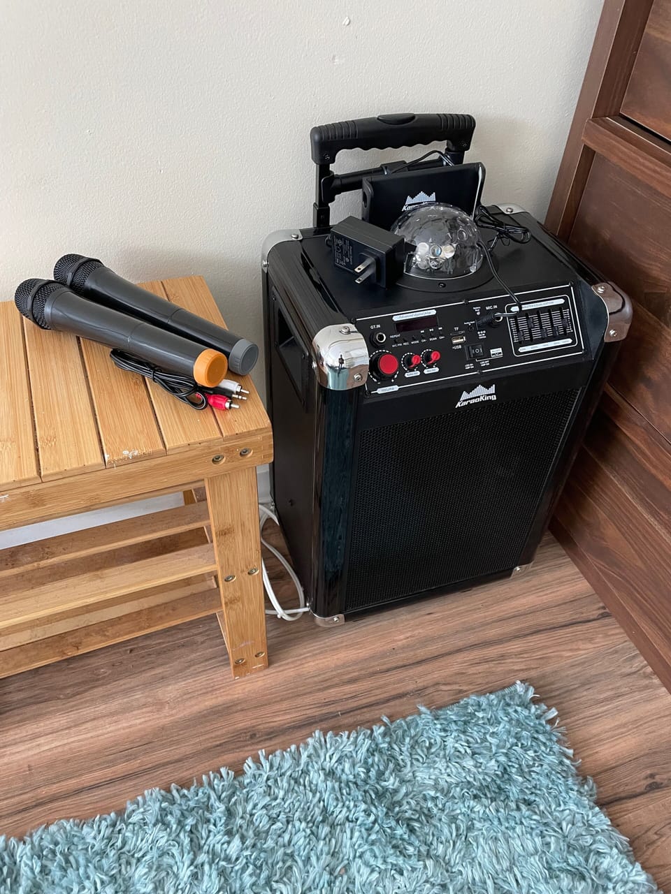 Karaoke machine w/2 wireless mics in unit for special/fun/memorable nights! 